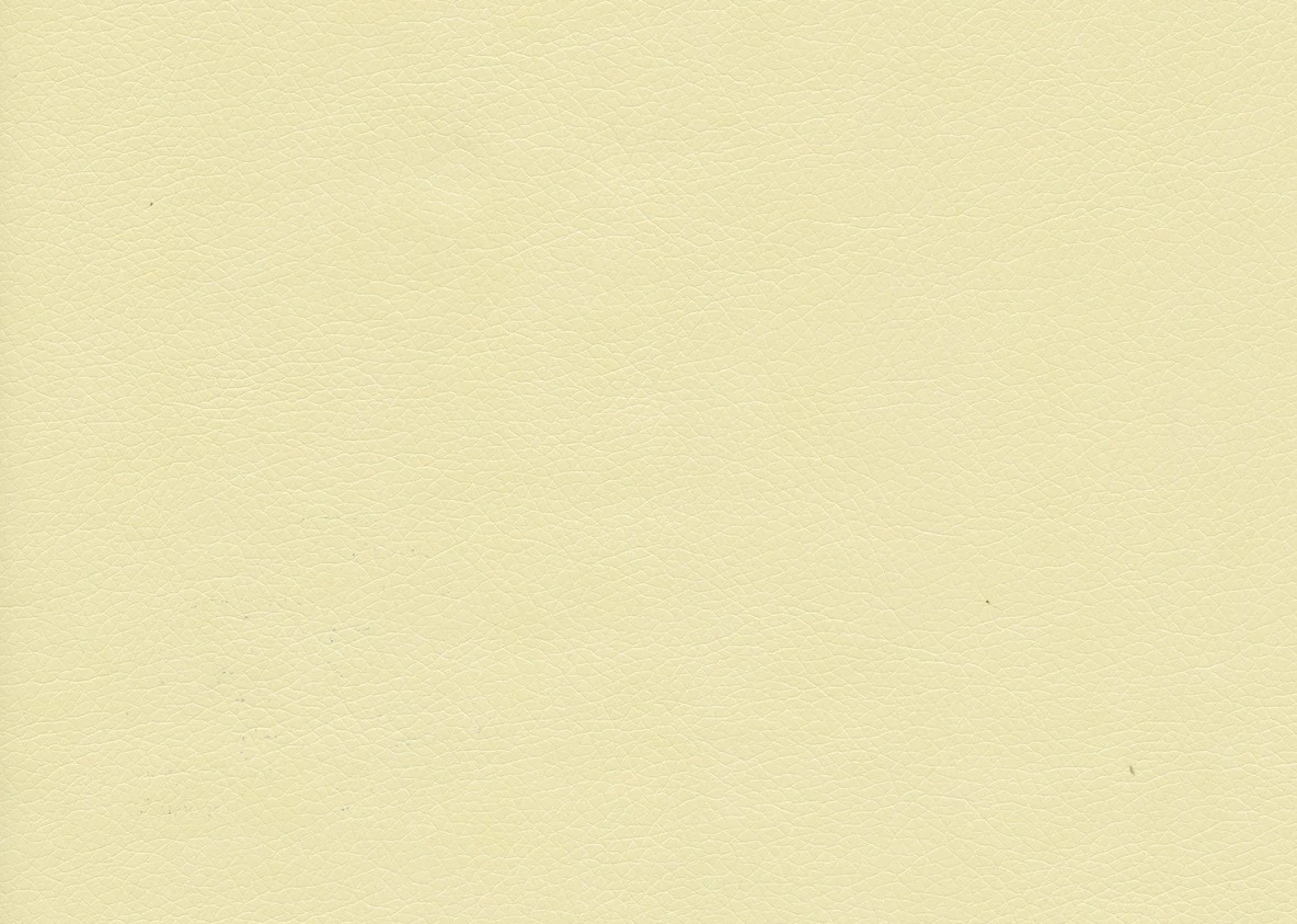Родео_10